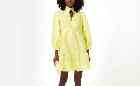 Tuckernuck | Dresses | Tuckernuck Citron Fil Coupe Palmerston Dress Sz Xl
